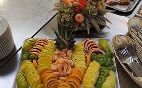 Hotel Vila Ruzica- Glavna Zgrada I Depandanse