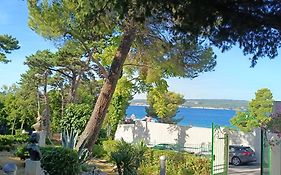 Hotel Vila Ruzica- Glavna Zgrada I Depandanse